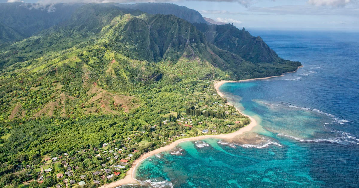 Black band disease killing coral in Hawaii - CBS News