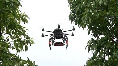 ctm0505dronesavocado.jpg 