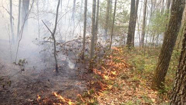 Forest Fire Near Ulster County 