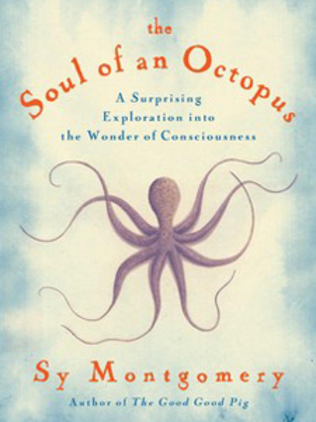 Soul Of An Octopus 