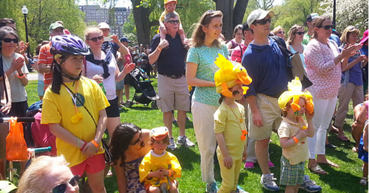 Hundreds Attend Duckling Day Parade In Boston CBS Boston