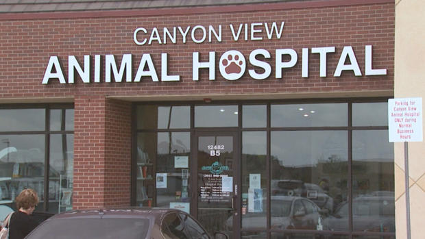 Canyon View Animal Hospital 