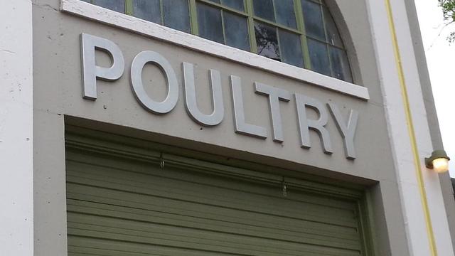 poultry-barn-minnesota-state-fair.jpg 