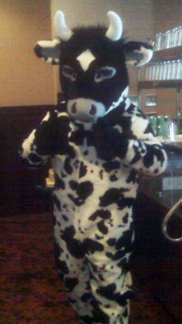 cow costume 