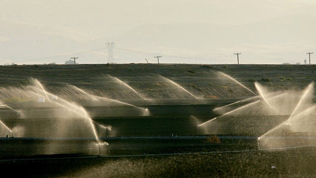 california farmers water Sacramento-San Joaquin River Delta 