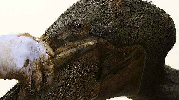 California oil spill