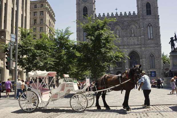 horse carriage montreal 