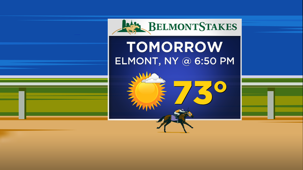 Belmont Stakes: 06.05.15 