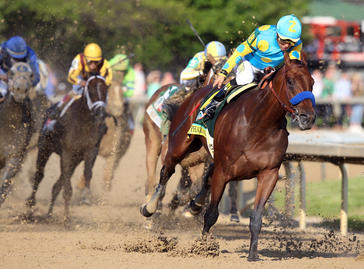 Cool facts about Triple Crown winner American Pharoah