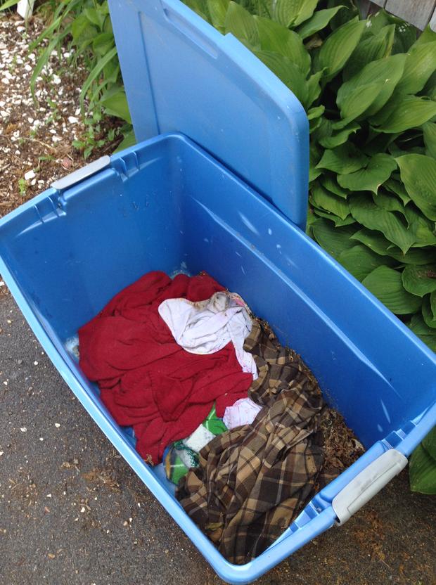 The dirty plastic bin in which all three dogs were delivered to the MSPCA-Cape Cod (credit MSPCA-Angell) 