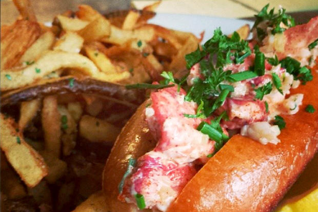 CBS hungy cat  lobster roll 