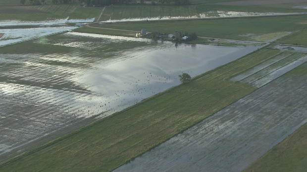 flooded fields from messex levee breach 
