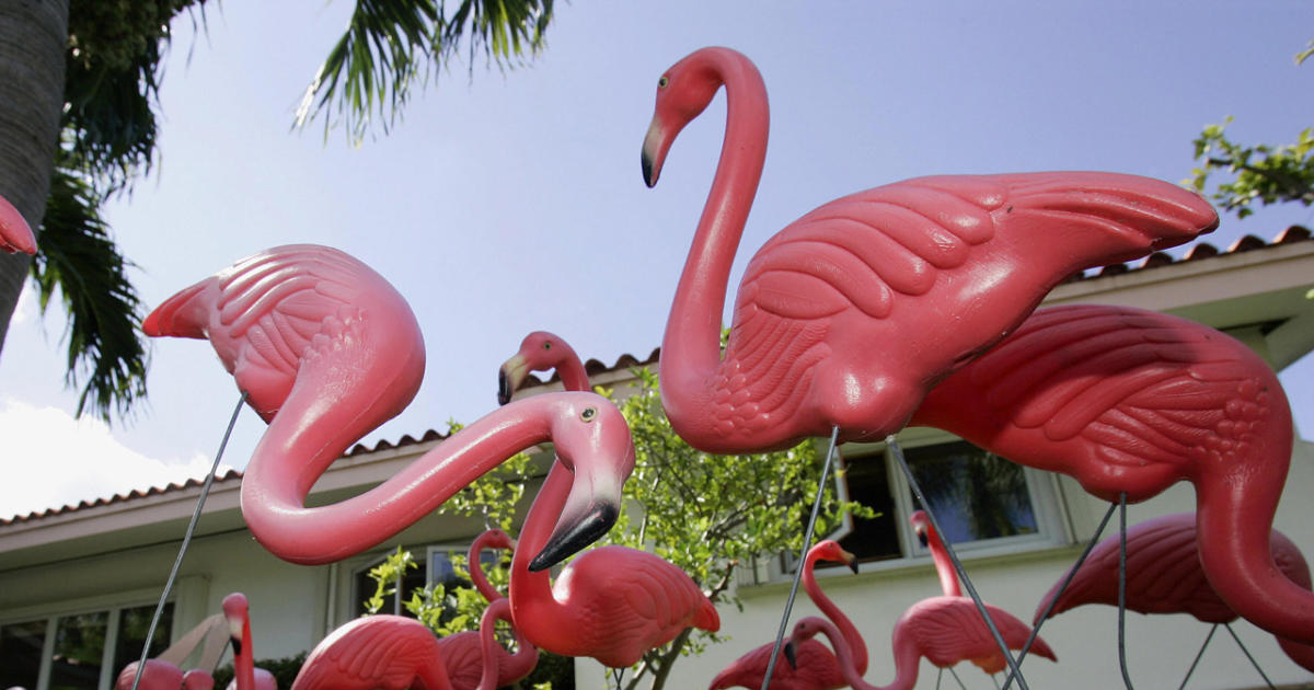 The Fascinating History of the Pink Flamingo Lawn Ornament - Bob Vil