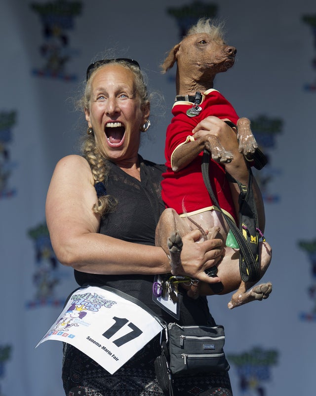 ugliest-dog-2015-478696224.jpg 