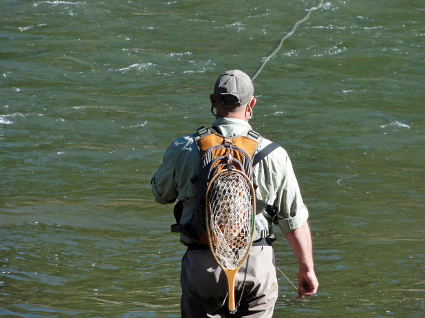 wildlife montana fishing 