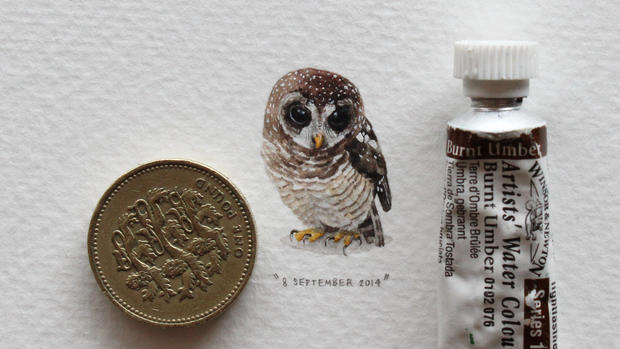 Lorraine Loots' paintings for ants 