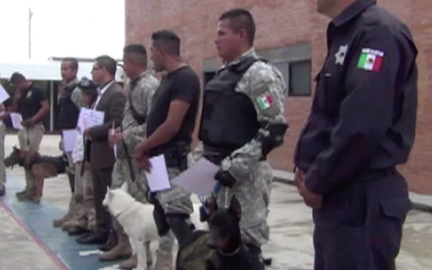 perros2.jpg 