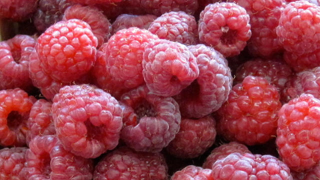 21july15raspberries.jpg 