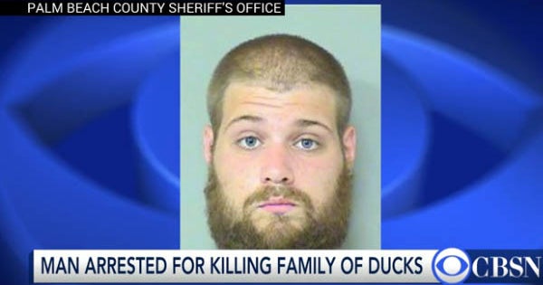 Florida landscaper sentenced for mowing over ducklings - CBS News