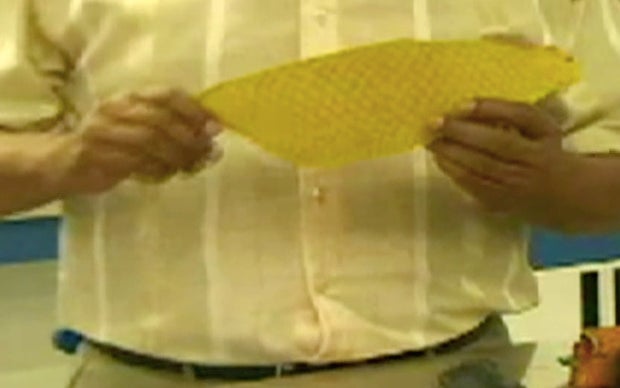 pescado.jpg 