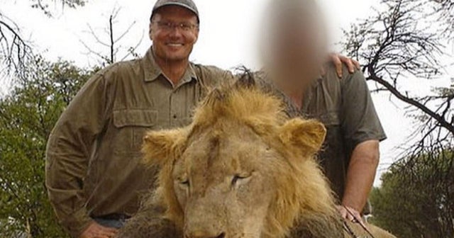 Cecil the lion killing sparks outrage around the world CBS News
