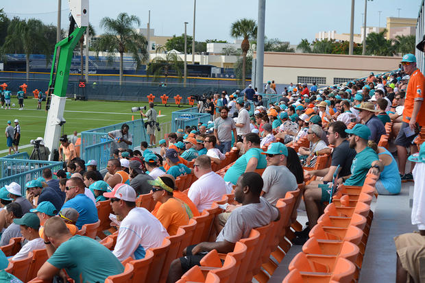 dolphins-fans-turn-out-strong.jpg 