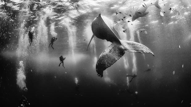 2015 National Geographic Traveler Photo Contest winners 