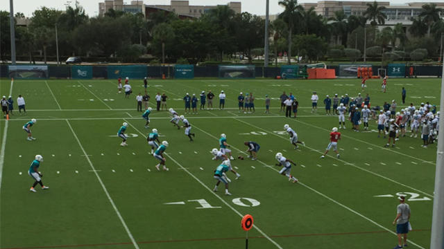 dolphins-camp-day-4-offense.jpg 