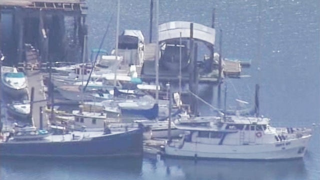 marinaedited.jpg 