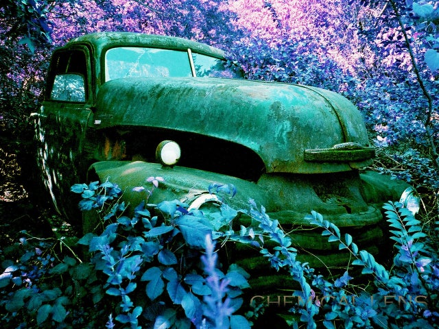 old-car-city-usa-melody-andrews-lomo-1414.jpg 