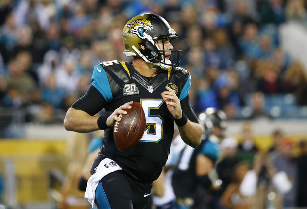 at EverBank Field on December 18, 2014 in Jacksonville, Florida. 