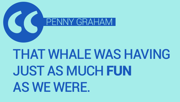 whalequote.png 