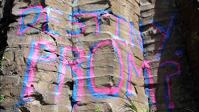 destinyprom.jpg 