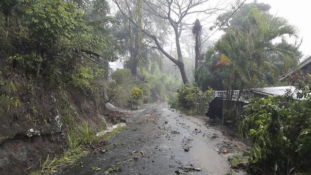 erika-dominica.jpg 