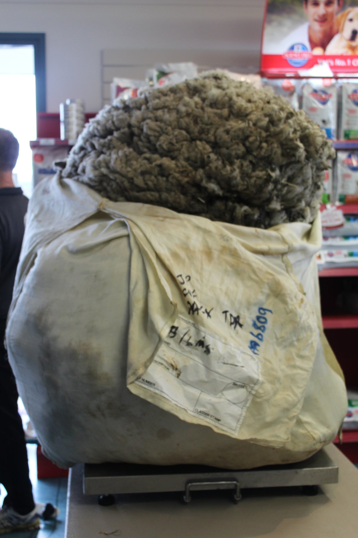 img0115.jpg 