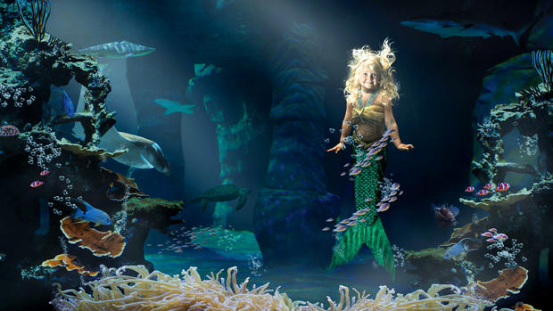 caimbre-the-mermaid.jpg 