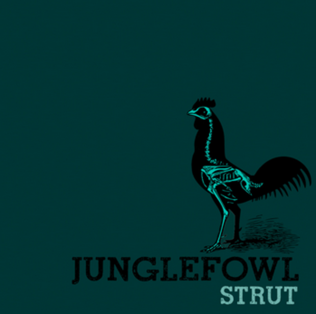 Jungle Fowl 
