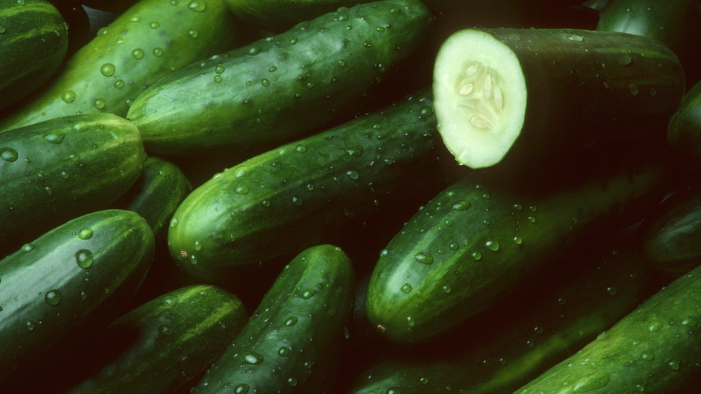 Cucumbers recalled in 14 states due to salmonella risk