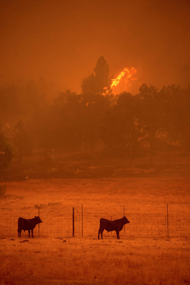 butte-fire-california-wildfire-rtsq26.jpg 