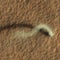 Rover captures first-ever sound of dust devil on Mars