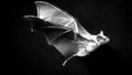 bat709120x90.jpg 