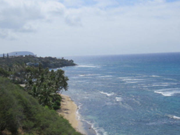 Hawaiian Coast (credit: Randy Yagi) 