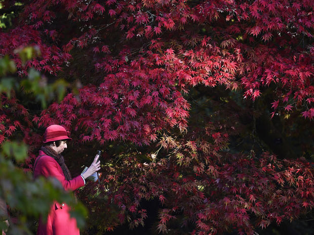 fall-foliage-rts43po.jpg 