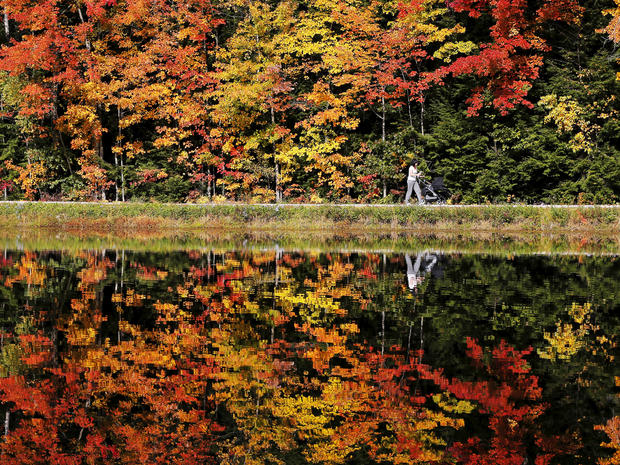fall-foliage-rts4bv0.jpg 