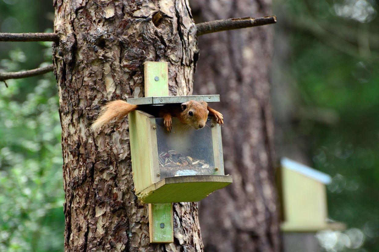 Hilarious winners of The Comedy Wildlife Photography Awards