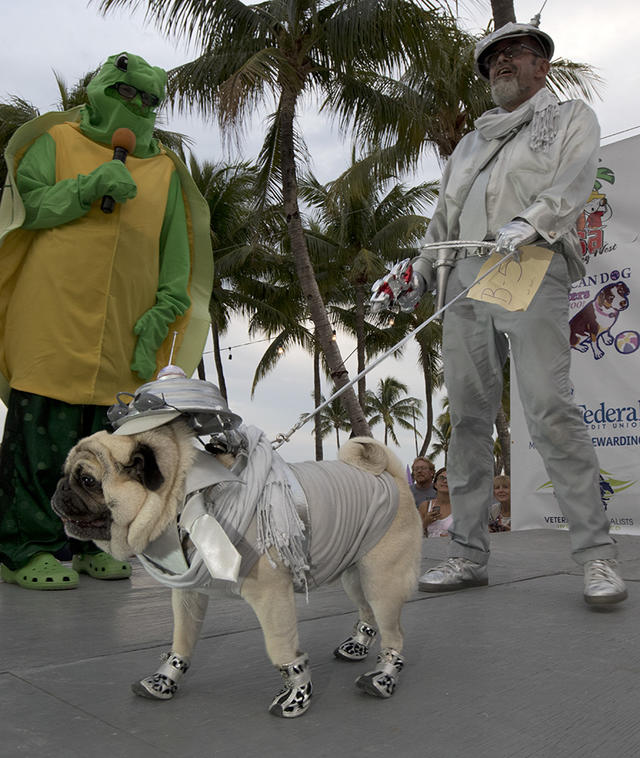 slimer dog costume