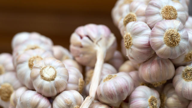 food-garlic.jpg 