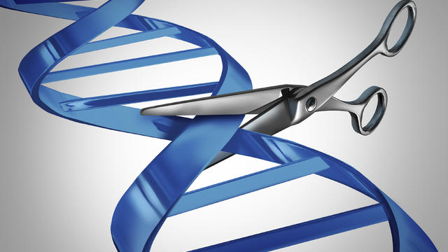 gene-editing-illustration-dna-scissors.jpg 