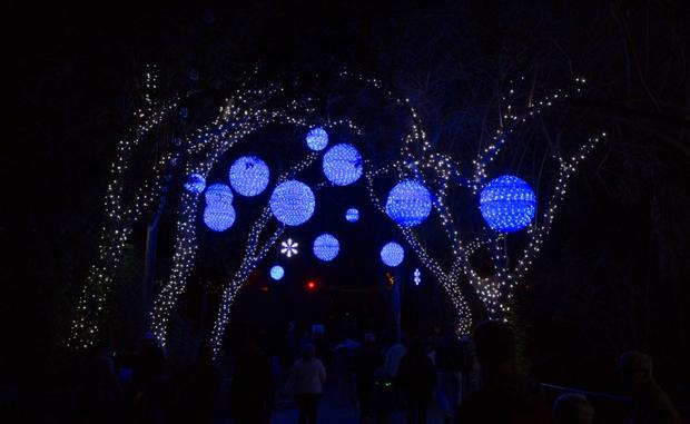 la zoo lights 