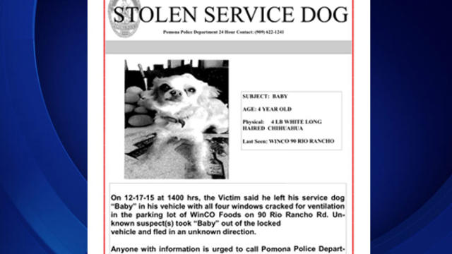 stolen-service-dog.jpg 